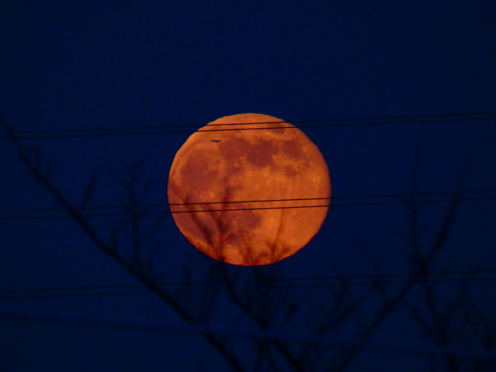 師走だけに色々映り込んでるスーパームーン