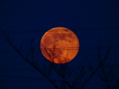 師走だけに色々映り込んでるスーパームーン