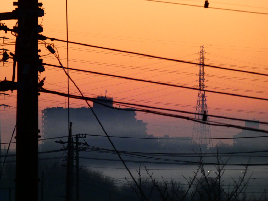見沼田んぼに立ち込める川霧