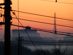 見沼田んぼに立ち込める川霧