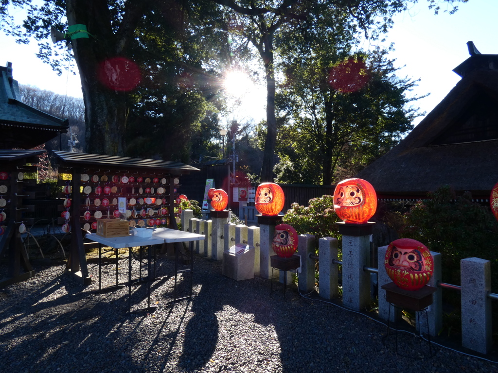 陽射しでイルミネーション