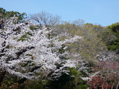 山里のような景色