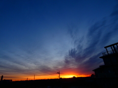 大きな白鳥さんが翔ぶ朝焼け