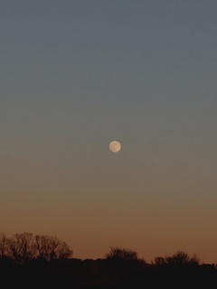 東の空の夕陽色