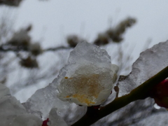 氷菓