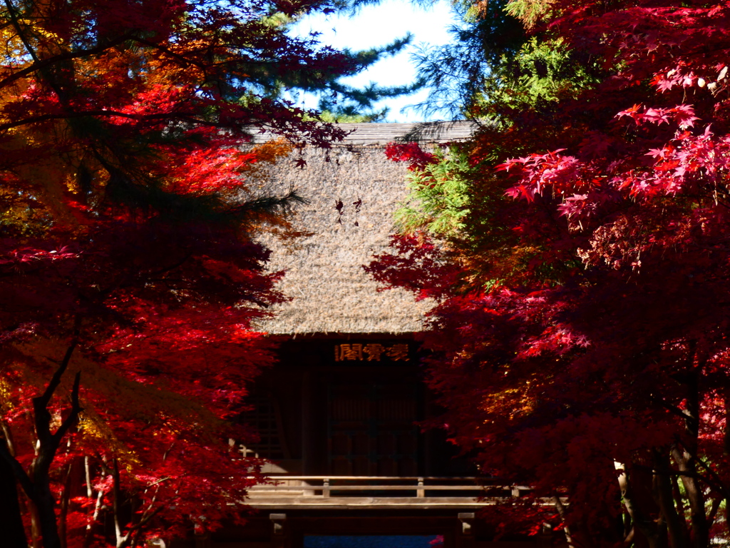 平林寺山門