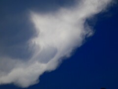 侵されていく青空