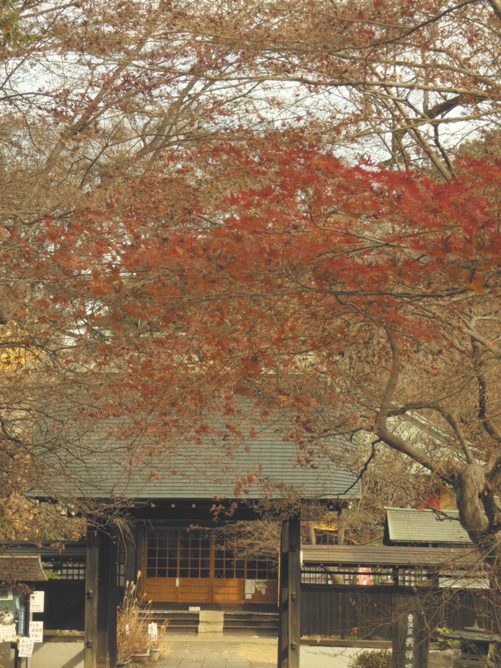 参道からの興禅院