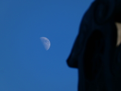 2025年最後の上弦の月