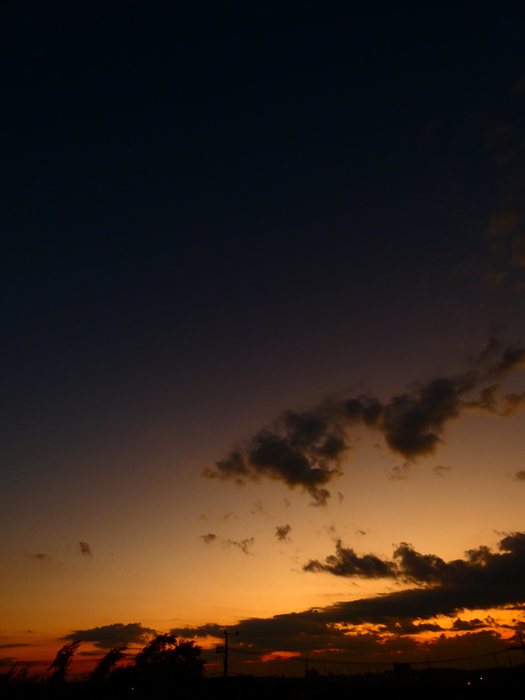Mornig glow