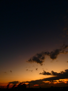 Mornig glow