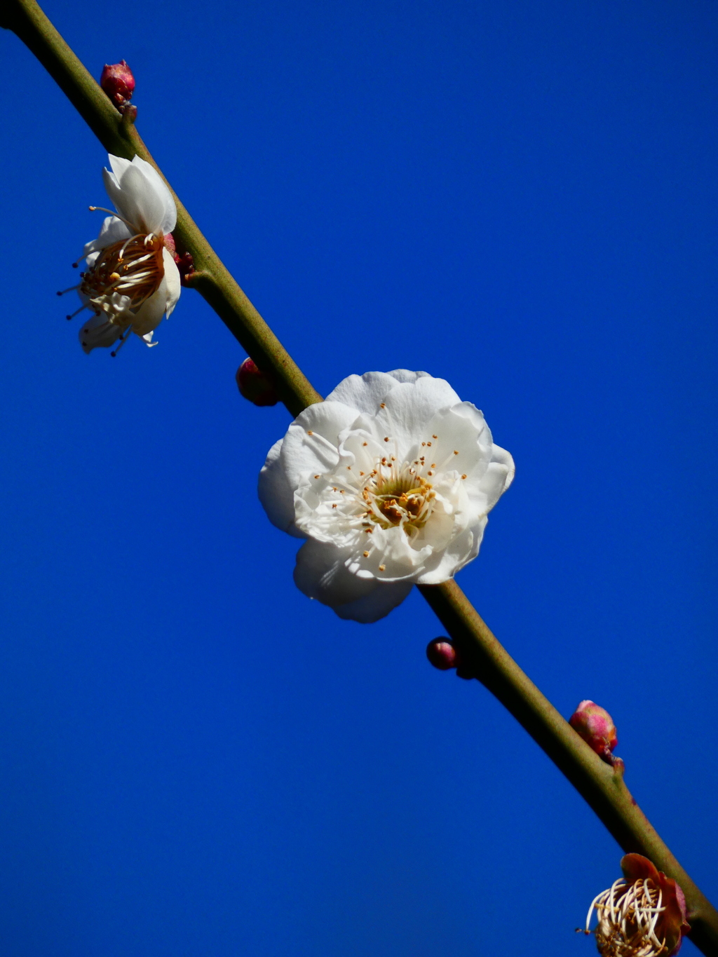 青空と