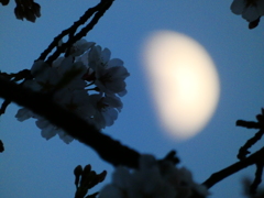 ４月の上弦の月