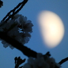 ４月の上弦の月