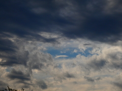 天空のガーデンイール