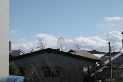 遠くに見える観覧車