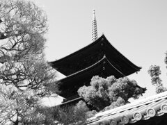 東寺