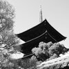 東寺
