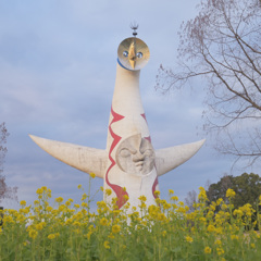 菜の花と太陽の塔