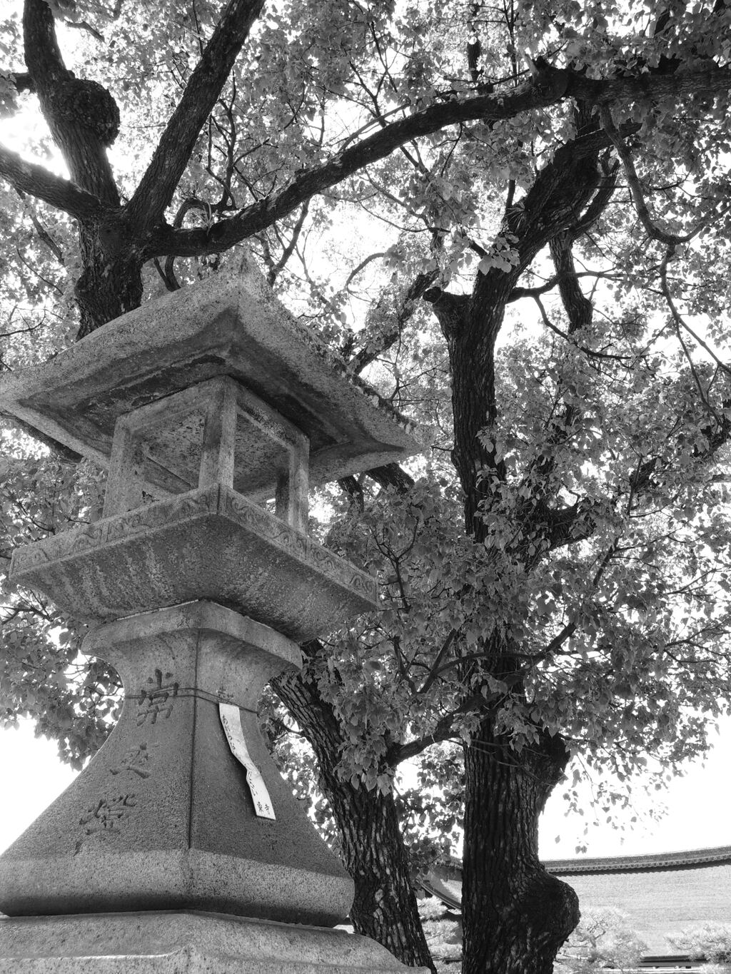 東寺の灯篭