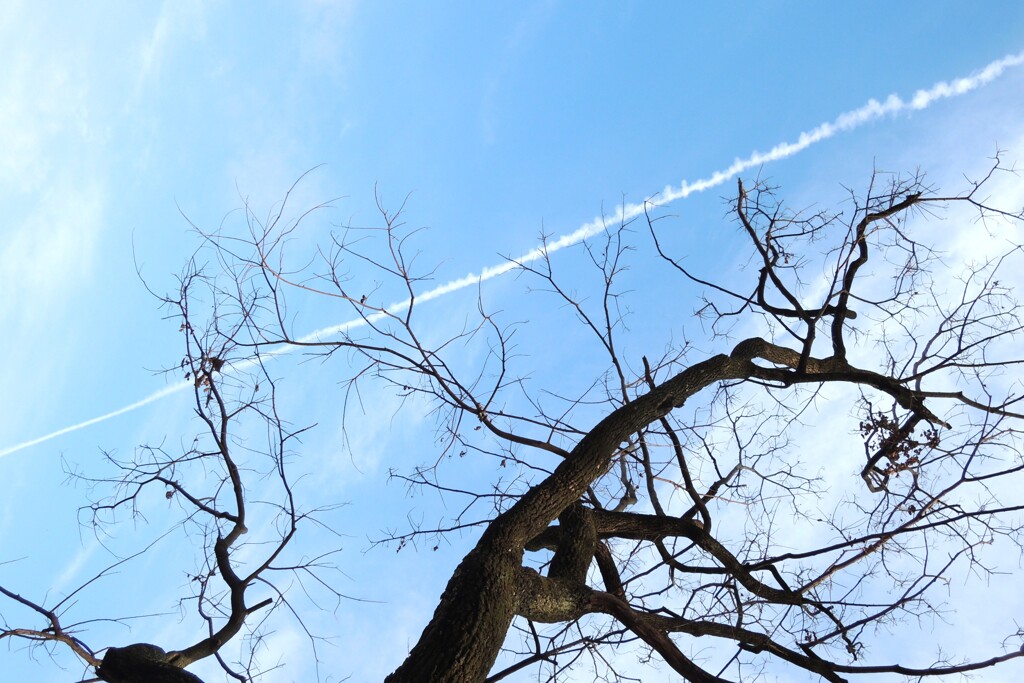 飛行機雲