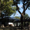 東寺から見える京都タワー