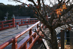 喜撰橋