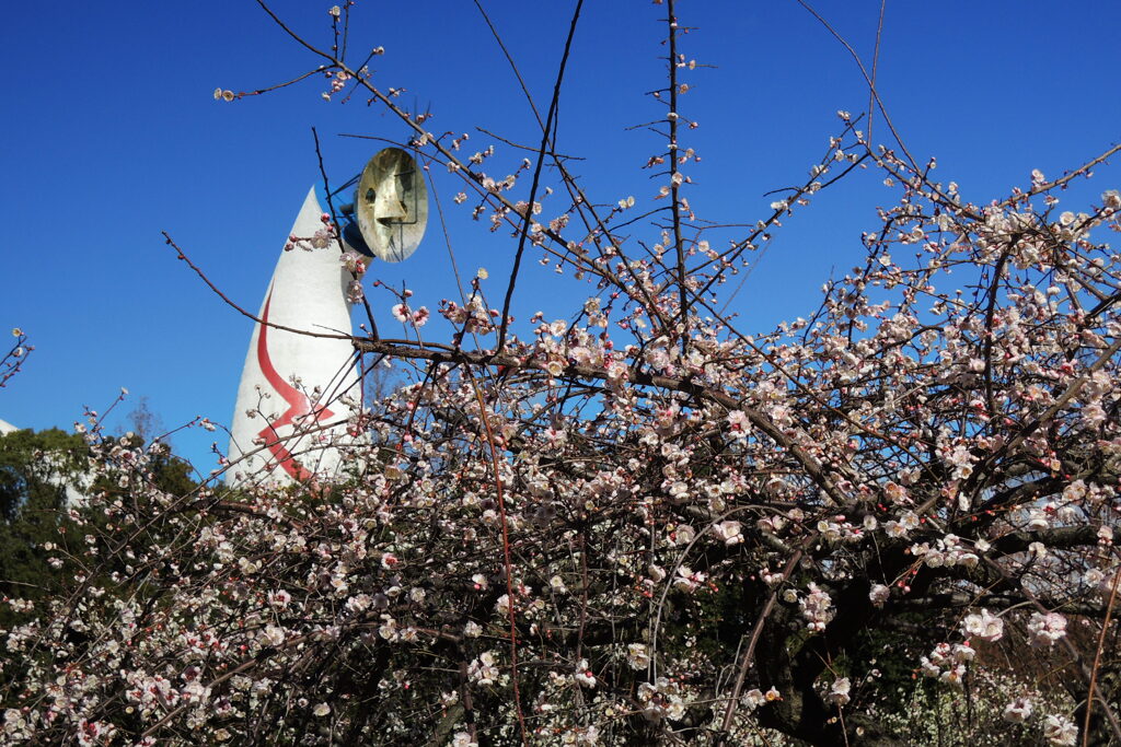 梅と太陽の塔