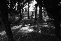 鶴見緑地公園アメリカ合衆国庭園のベンチ
