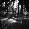鶴見緑地公園アメリカ合衆国庭園のベンチ