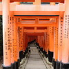 伏見稲荷と言えば鳥居