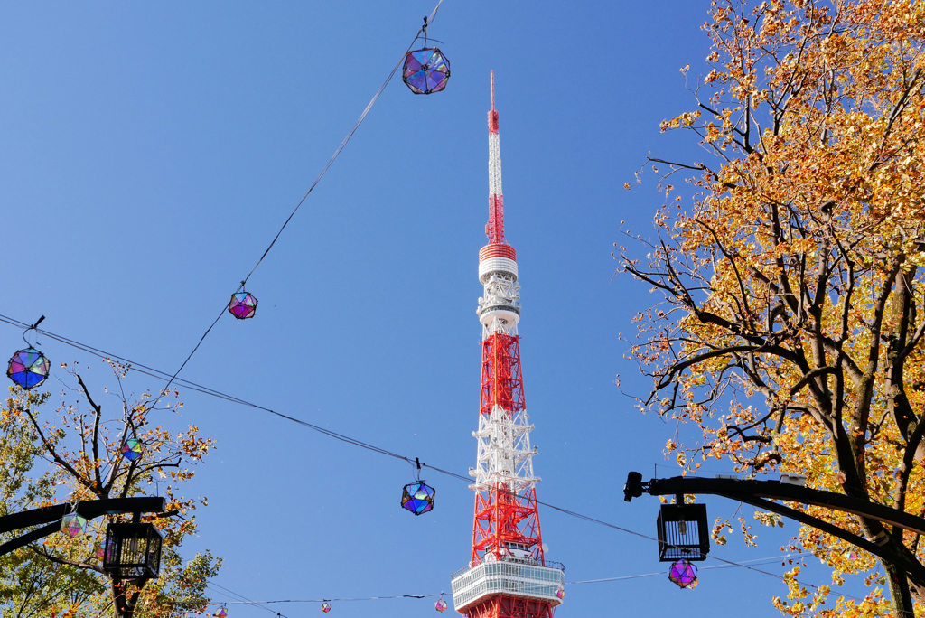 秋の東京タワー