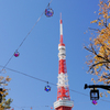 秋の東京タワー