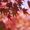 彩り