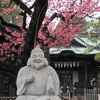 ご満悦な恵比須様