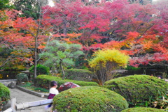 錦秋の日本庭園