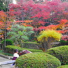 錦秋の日本庭園