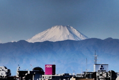 東京からの富士