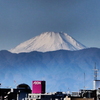 東京からの富士