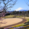 富士山の見える公園