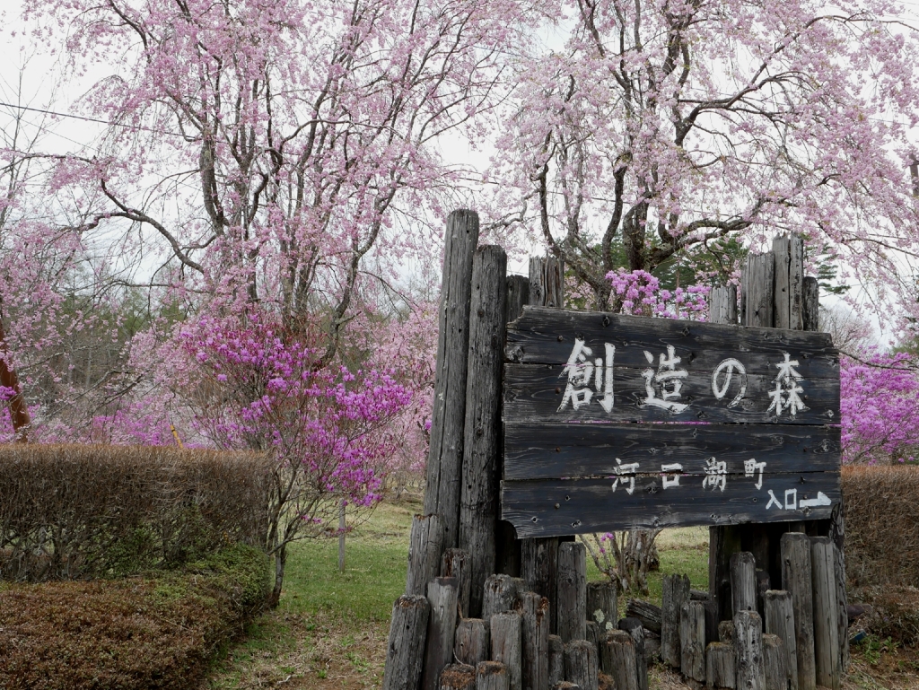 創造の森