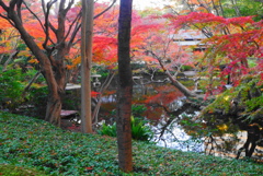 錦秋の日本庭園2