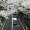 福山雅治の桜坂　2
