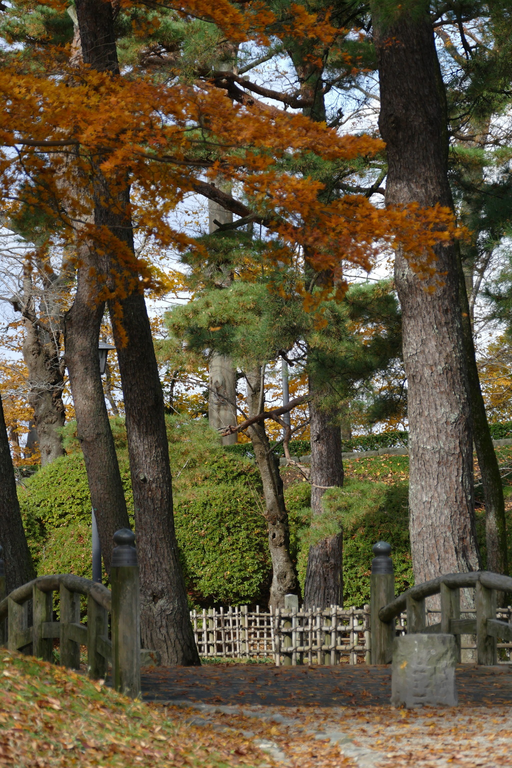 公園散歩