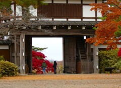 公園を散歩する人達