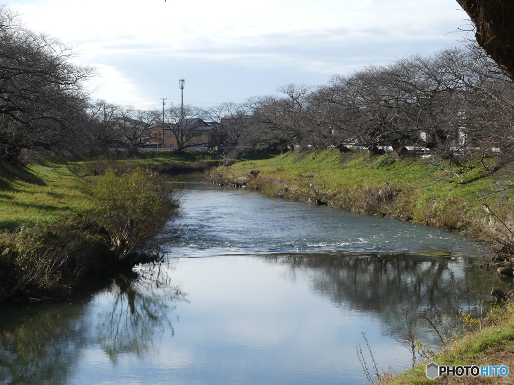 川沿いを散歩⑤