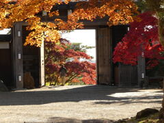 散歩で紅葉狩り