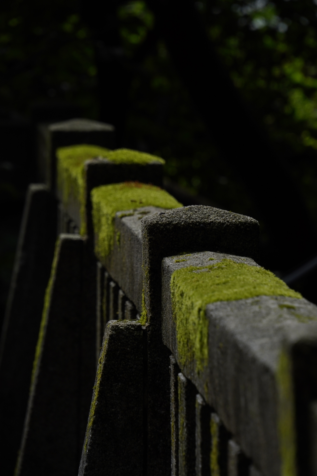 弥彦神社にて②