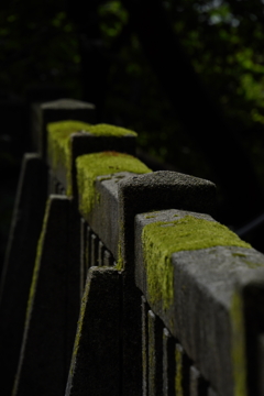 弥彦神社にて②