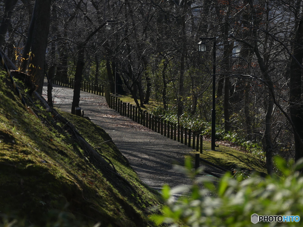 地元の公園を散歩①